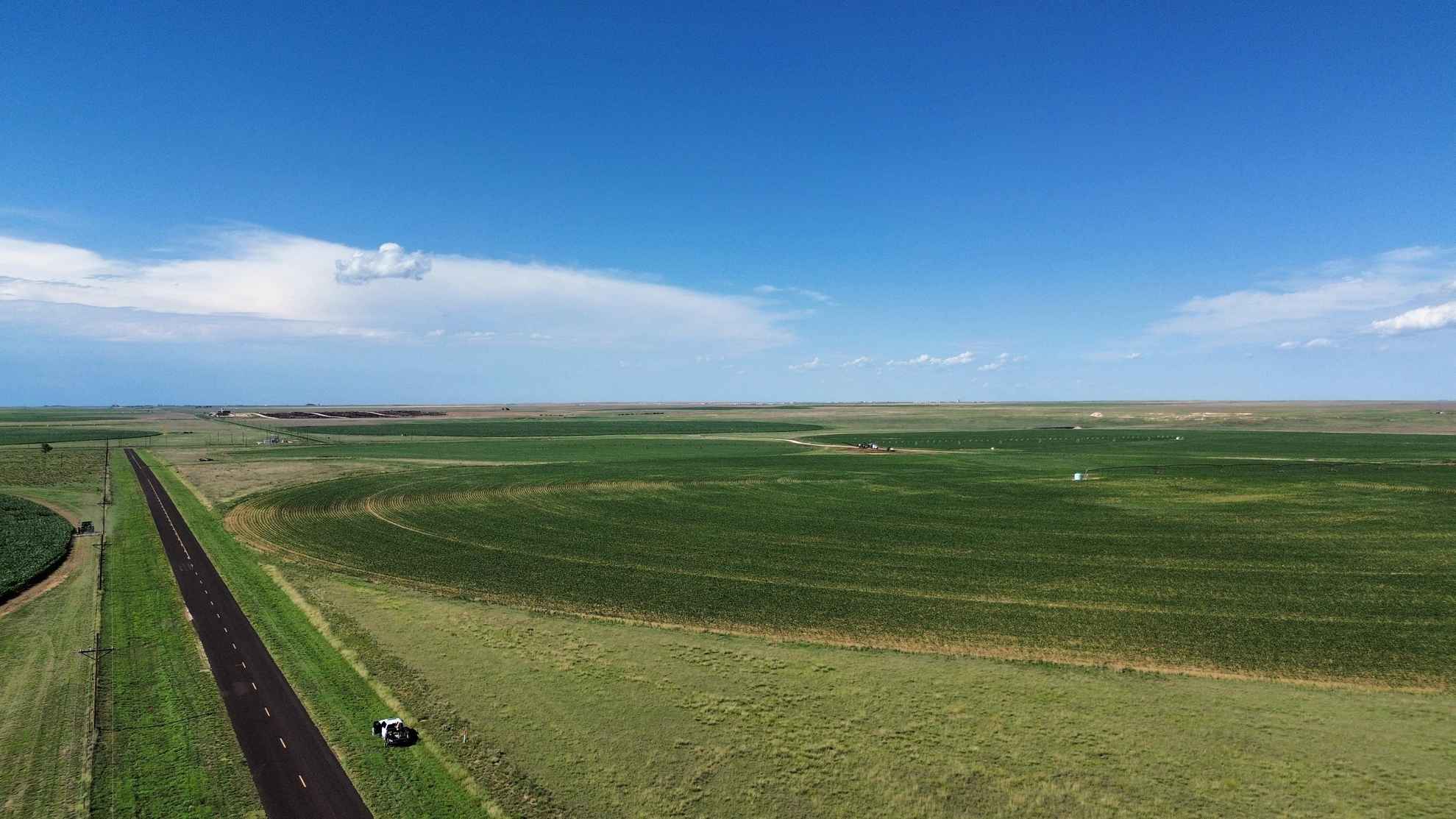 KM Farm Dallam Co Tx Glenn Cummings Real Estate